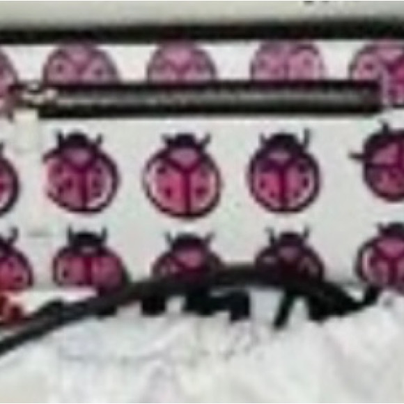 RARE Brighton Vera Neumann
Ladybug Canvas Tote Bag and wrist wallet. - Picture 1 of 4